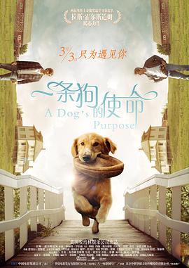 兄弟的女人